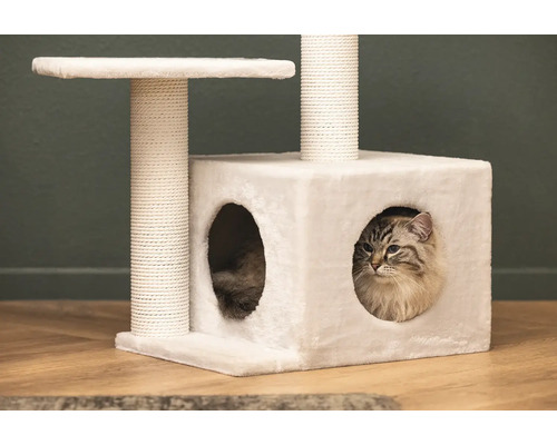 Chat dans un arbre à chat blanc avec des surfaces de couchage et un poteau à gratter