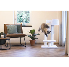 Wohnzimmer mit Katzenkratzbaum, Sessel und Zimmerpflanze