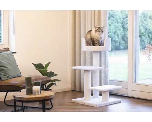 Chat sur un arbre à chat à plusieurs niveaux dans le salon