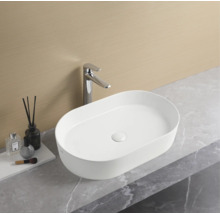 Vasque à poser ovale avec robinet sur un plan de travail dans une salle de bains.
