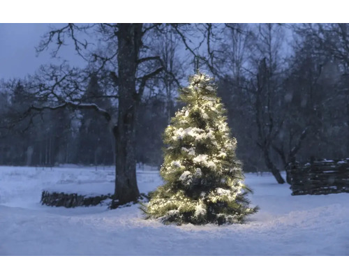 Schneebedeckter Weihnachtsbaum mit Beleuchtung im winterlichen Garten.