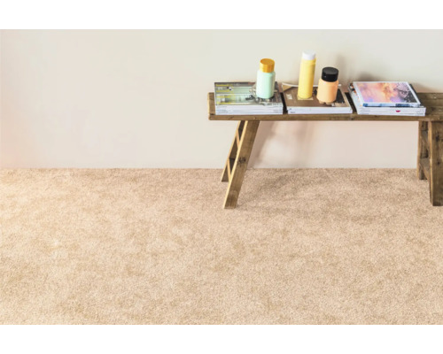 Innenaufnahme eines hellen Wohnraums mit Teppich und einem rustikalen Holztisch mit Dekoration