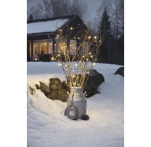 Branches décoratives avec guirlande lumineuse dans un pot à lait dans la neige