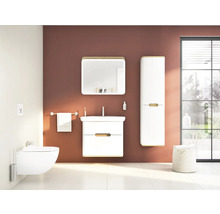 Modernes Badezimmer mit Toilette, Waschtisch, Spiegel und Schrank für ein helles und organisiertes Ambiente