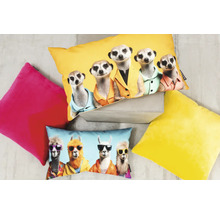 Dekokissen mit Erdmännchen- und Lama-Motiven