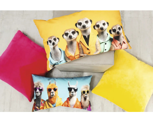 Dekokissen mit Erdmännchen- und Lama-Motiven