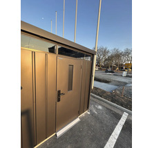 Abri de jardin en métal avec porte et fenêtre