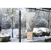 Paysage hivernal avec sac de protection des plantes sur une plante