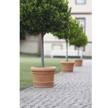 Pflanzkübel geli Palermo Kunststoff Ø120 H 90 cm terracotta