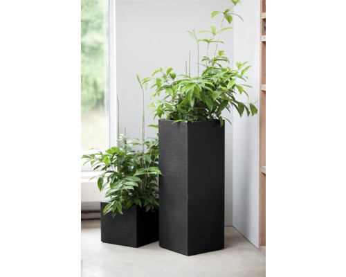 Zwei bepflanzte, quaderförmige Pflanzkübel im Innenbereich.