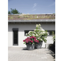 Pflanztopf geli Stone Kunststoff Ø 60 H 45 cm grau