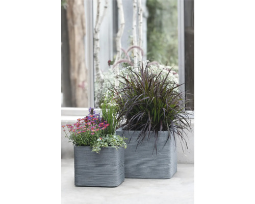 Zwei graue Pflanzgefäße mit verschiedenen Pflanzen vor einem Fenster.