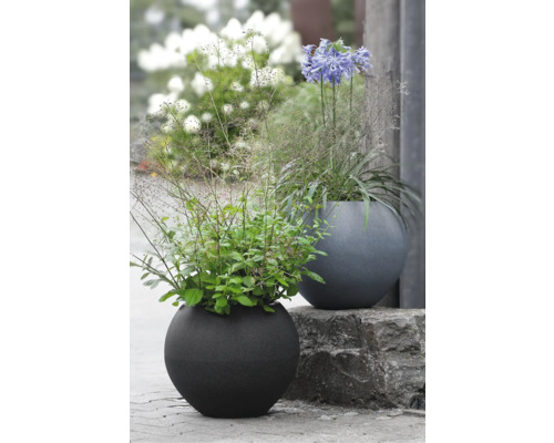 Deux pots de fleurs ronds avec des plantes dans le jardin.