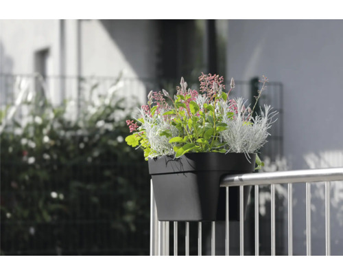 Jardinière de balcon noire avec diverses plantes sur une balustrade métallique