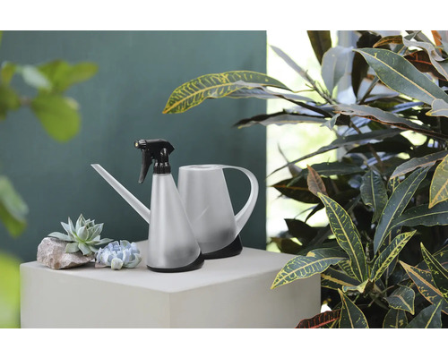 Arrosoir et pulvérisateur de plantes à côté de plantes grasses