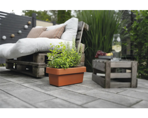 Scène avec des herbes aromatiques dans un bac à plantes, des meubles en palettes et une table d''appoint pour l''extérieur