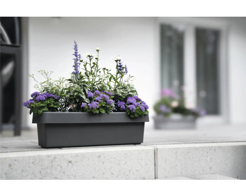 Grauer Pflanzkasten mit verschiedenen Pflanzen auf einer Steintreppe