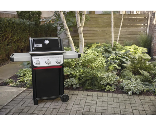 Barbecue à gaz Weber Spirit dans le jardin