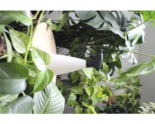 Pflanzensprüher zwischen Grünpflanzen