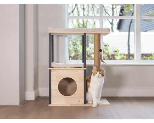 Chat devant un arbre à chat avec deux aires de repos et une grotte