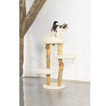 Katze auf einem Kratzbaum mit drei Ebenen und einem Spielseil