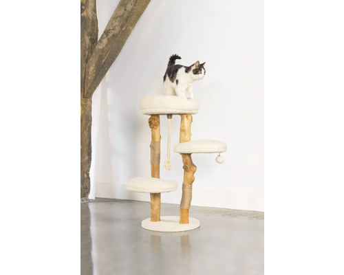 Chat sur un arbre à chat à trois niveaux avec une corde de jeu