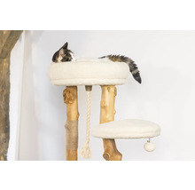Katze liegt auf einem Kratzbaum aus Holz mit zwei Liegeflächen und einem Spielseil