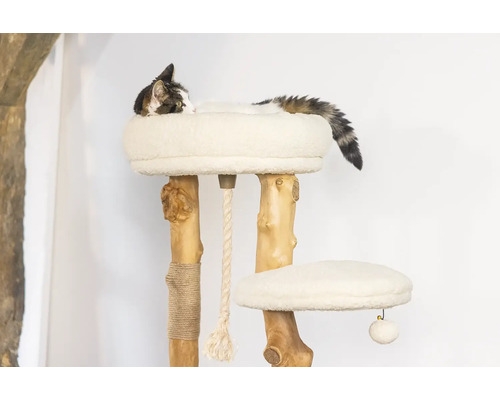 Chat allongé sur un arbre à chat en bois avec deux plateformes et une corde de jeu