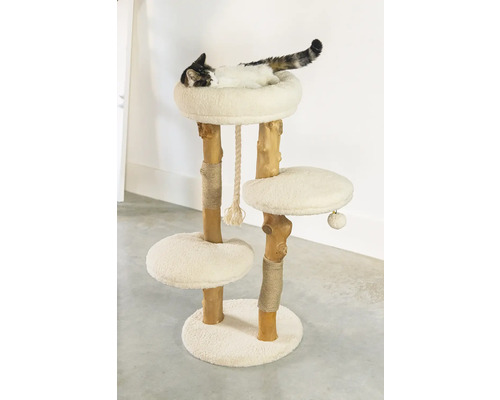 Chat se repose sur un arbre à chat à trois niveaux avec des jouets