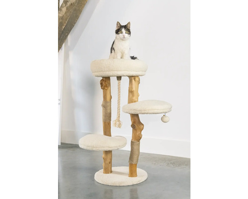 Chat assis sur un arbre à chat à plusieurs niveaux avec des poteaux en sisal