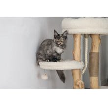 Katze sitzt auf einem Kratzbaum