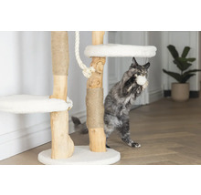 Katze spielt an einem Kratzbaum mit Liegeflächen und Sisalstämmen