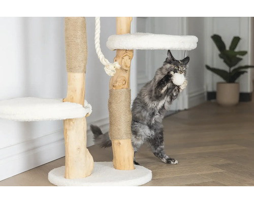 Chat jouant avec un arbre à chat avec des surfaces de couchage et des troncs en sisal