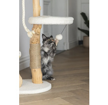 Katze spielt mit einem Spielzeug an einem Kratzbaum