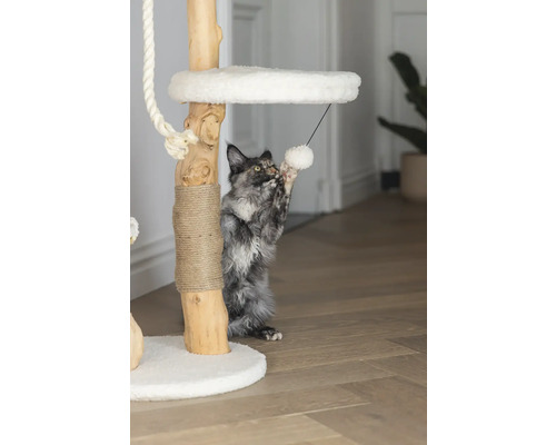 Chat jouant avec un jouet sur un arbre à chat