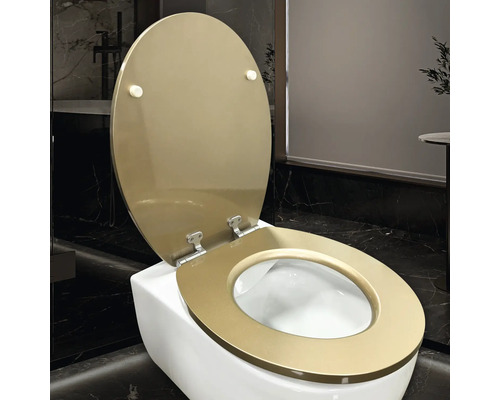 Toilettensitz mit offenem Deckel auf einer Toilette