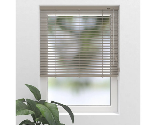 Fenêtre avec store horizontal pour le contrôle de la lumière