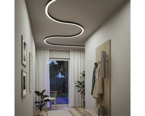 Couloir avec plafonnier incurvé, vestiaire et plantes d''intérieur