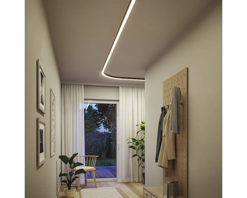 Couloir avec plafonnier, porte-manteau et plantes d''intérieur