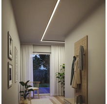 Couloir avec plafonnier, portemanteau, plantes d''intérieur et tableaux au mur