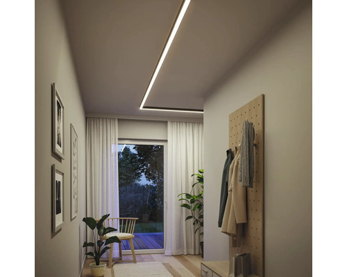 Couloir avec plafonnier, portemanteau, plantes d''intérieur et tableaux au mur