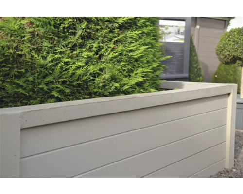 Jardinière surélevée en bois et béton avec plante verte