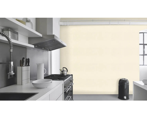 Helle Küche mit Spüle, Herd, Dunstabzugshaube und Mülleimer