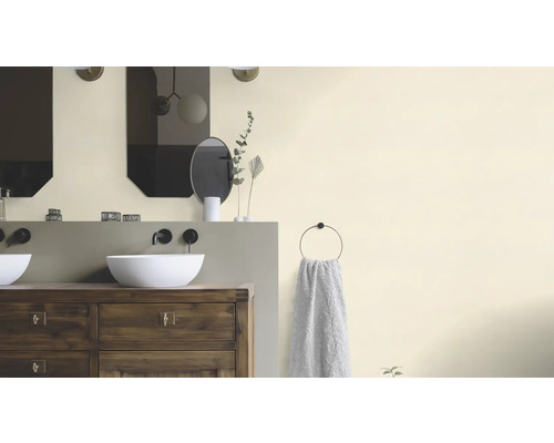 Badezimmer mit Waschbecken, Spiegeln und Handtuchhalter