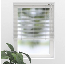 Fenêtre avec store vénitien horizontal pour le contrôle de la lumière