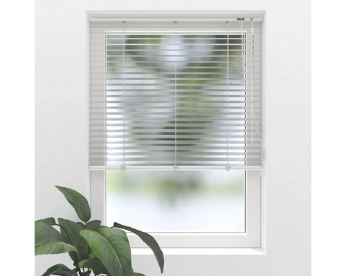 Fenêtre avec store vénitien horizontal pour le contrôle de la lumière