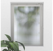 Fenêtre avec stores horizontaux pour la protection contre la lumière et l''intimité