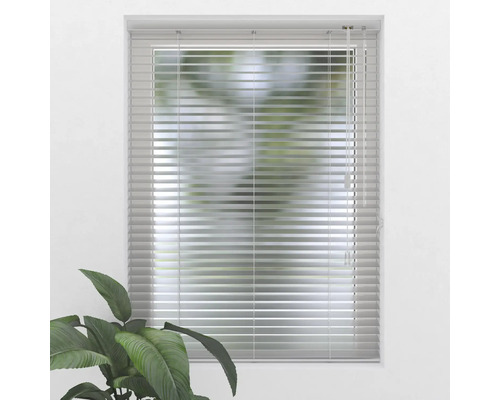 Fenêtre avec stores horizontaux pour la protection contre la lumière et l''intimité