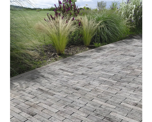 Pavés sur une terrasse avec des plantes dans le jardin