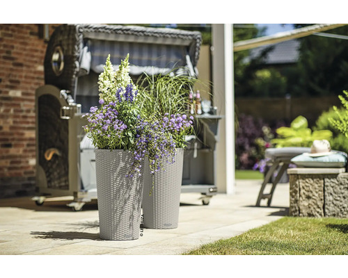 Zwei Pflanzgefäße mit Blumen und Strandkorb im Hintergrund.